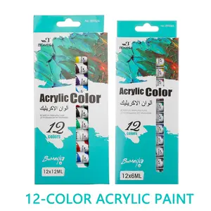 12 Vibrant Colors Professional Acrylic Paint Set - 6/12ml Each, Ideal for Artists, Students & DIY Crafts