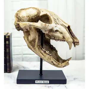 Ebros Faux Taxidermy Black Bear Skull Baring Teeth Statue On Pole Mount Display