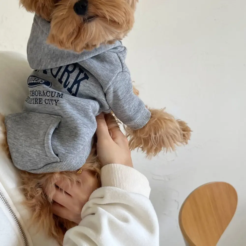 Hooded Warm Plush-Lined Polyester Fabric Dog Sweater for Small Breeds, Outdoor Protective Winter Apparel with Removable Bow Collar Cloak Design, Warmth Boost Holiday Outfit for Poodle/Pomeranian Puppies