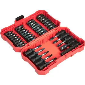 42-Piece Impact Screwdriver Bit Set with Phillips, Slotted and Torx Bits, Portable Storage Case
