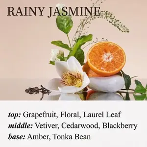 SONG CHAO 500Ml Reed Diffuser Set - Natural Rain Jasmine Aroma for Home, Bedroom, Office - Long Lasting Fragrance