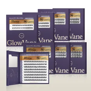 GlowVane TrueCurve Lash LengthLock Collection Cluster Eyelashes  Winkie Shiney Single Size Per Box 10mm-16mm DDCurl Ultra-Dense Long-Lasting DIY Style Lashes
