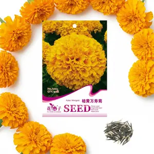 Marigold Seeds Bulk Mix - 5600+ Crackerjack Marigold Flower Seeds for Planting Outdoors -Flowers Seed for Companion Planting -Wildflower African Marigold(Tagetes erecta)