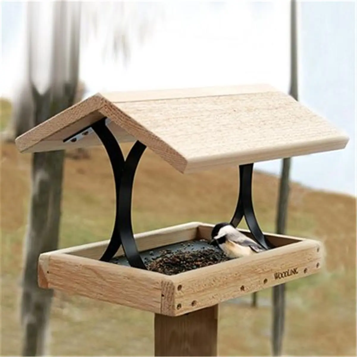 212 MAIN Cedar Fly-Thru Bird Feeder for Bird Watchers, Easy Fill, Open Access, Perforated Cedar Wood & Metal Construction with Drainage, 16" L x 11.5" D x 11" H (Pet Supplies Feeding Tools)