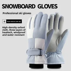 Gloves Winter Men's Electric Vehicle Riding Fleece Anti-splashing Windproof Warm Women's Winter Touch Screen Ski Gloves