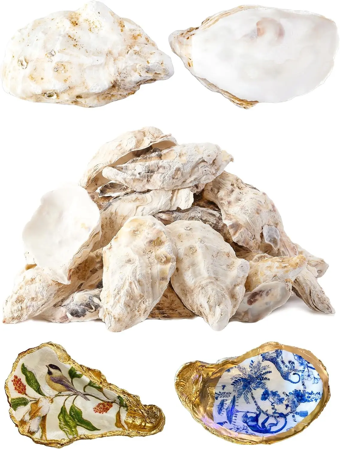 30Pcs Oyster Shells for Crafts， 4"-5" Large Oyster Shell for Crafts，Oyster Shells for Christmas 、Painting、 Beach Themes、 Wedding, Home Shells for Decoration and Sea Shells for Crafting