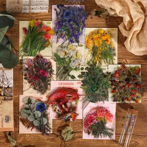 A SET FOR 4 PACKS Natural History Museum journal stickers – vintage botanical, floral, leaf & mushroom PET transparent stickers for kids, DIY scrapbooking, cup decoration, waterproof crafts.