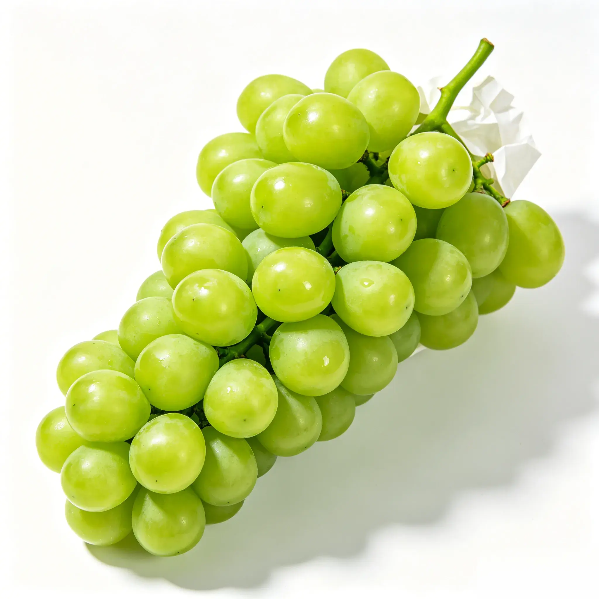 Commercial Grade Quality Muscat Vine Live Plant, Long Storage Life, Versatile Usage for Snacking, Home Picking Orchard (Garden Supplies)