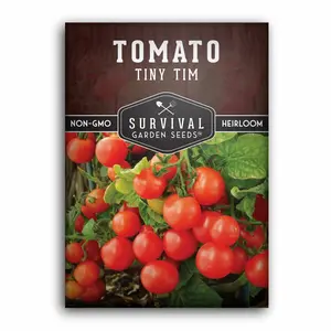 Tiny Tim Tomato Seed - 1 Pack of Seeds for Growing Tomatoes in Pots
