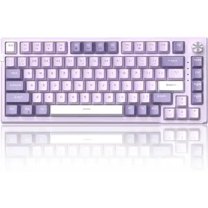 SKY81 75% Mechanical Gaming Keyboard, Gasket Hot Swappable Wired Custom Creamy Keyboard with 5-Layer Sound Dampening, Knob Control, RGB Backlit, NKRO for Win/ (Violet, Violet )