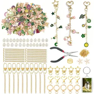 342 count DIY  Making Kit - 25 Keychains, Storage Box & Instruction, for Crafting Bag Charms,  Charms Ideal for Craft Lovers ( Materials) &  Shoppers