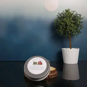 Drawing Salve | Organic | First Aid | Activated Charcoal | Hydrating Body Care