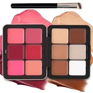 12-color iron box multi-functional blush palette Cosmetic with free makeup brush. Combine blush cream, concealer, highlight and contour. Smooth texture with natural color, easy to finish full face makeup for daily and dating look.