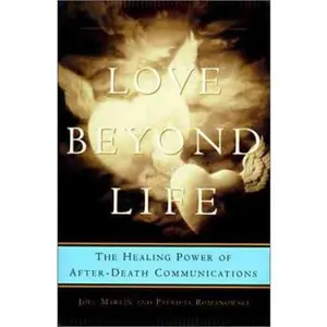 USED-Love Beyond Life: Healing Power of After-Death Communication, The by Joel W. Martin (Hardcover)