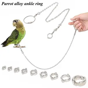 Parrots Flying Training Rope Indoor Bird Anti-Off Anklet Sparrow Traction Harness Stainless Steel Parrot Harness Leash Bird