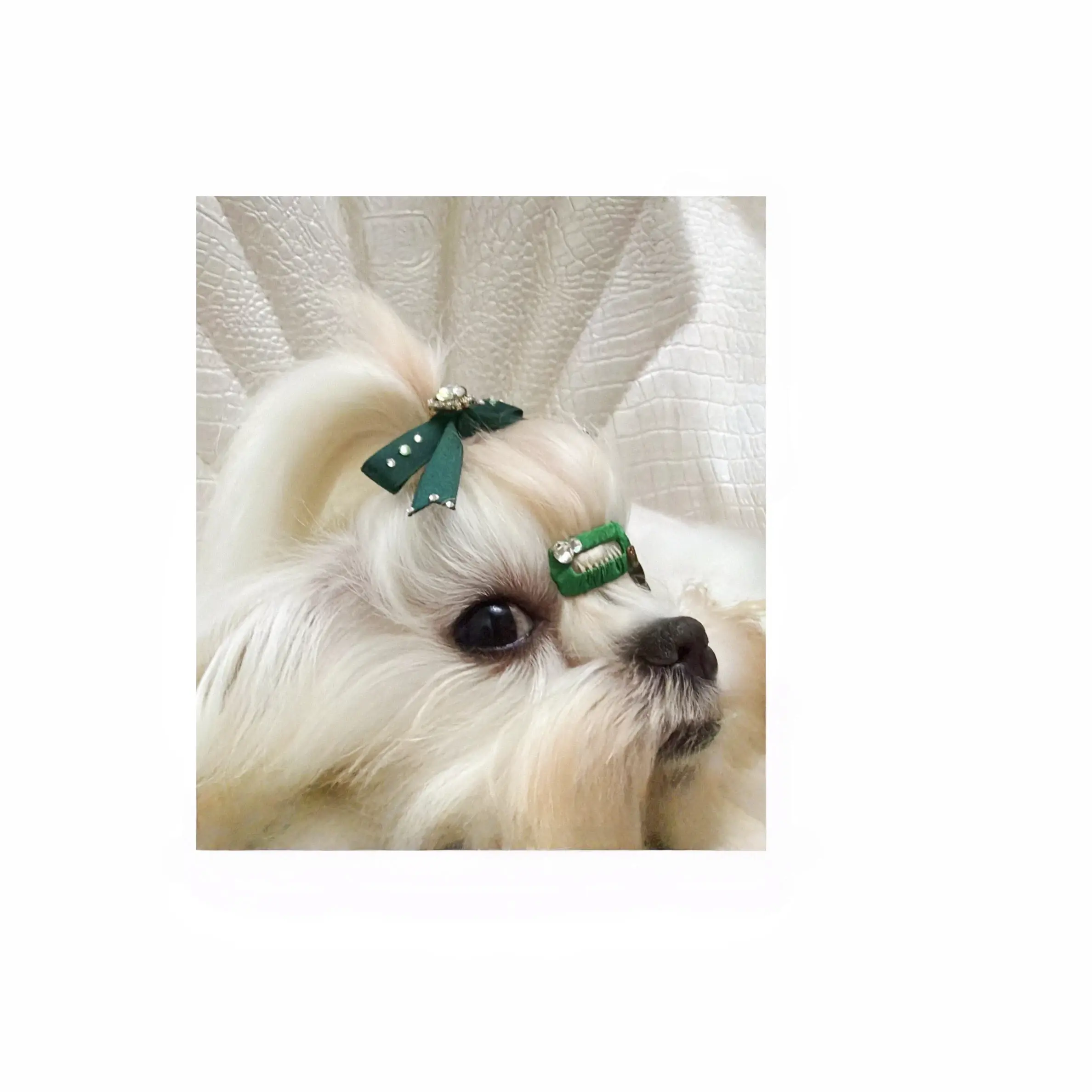Handcrafted Premium Macaron-Style Pastel Ribbon Pet Hair Bows and Clips, Dog and Cat Hair Accessories