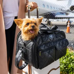 Petique The Lux Pet Carrier