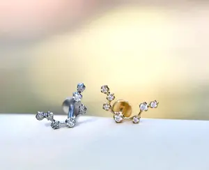 Flat Back Titanium Zodiac Constellation Earrings • Tragus • Conch • Tragus • Helix • Cartilage Earrings • Birthday Gift for Her