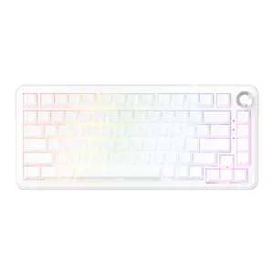 AJAZZ AK820MAX three-mode magnetic switch mechanical keyboard side engraving five-layer filling full-key hot-swappable RT0.01 web driver 8000mah