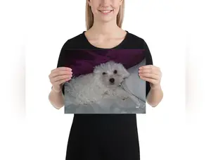 Hello! BeSculpt Photo-Art Print