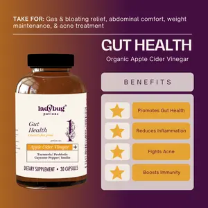 Potion No. 1 Gut Health & Digestive Support Organic Turmeric and AppleCider Vinegar Dietary Supplement Healthcare Edible