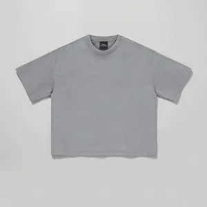 Washed Cropped Tee (Grey)