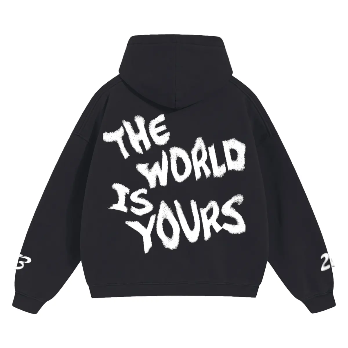 The World Is Yours Hoodie