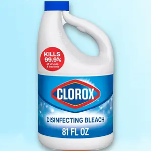 Clorox Disinfecting Bleach - Regular - 81oz Clorox Disinfecting Bleach - Regular - 81oz