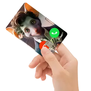 MousePay John Pork Pay Freakbob Meme Holographic Debit/Credit Card Decal