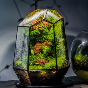 NCYP Close Geometric Glass Terrarium with Door, Tin Sealed Irregular Tall Planter, Modern Garden Decorative Planter