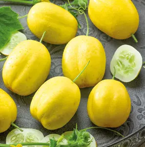 100+ Lemon Cucumber Seeds for Planting, Vegetable Gardening Seeds for Garden