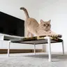 Cat Hammock Single-Layer Breathable Pet Bed, Ideal for Small Dogs, Indoor/outdoor Cat Stand, Enhances Your Cat's Comfort, Kitty