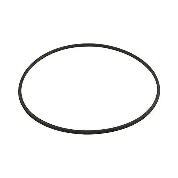Hayward Seal,Filter,Metal Reinforced | DEX2422Z2
