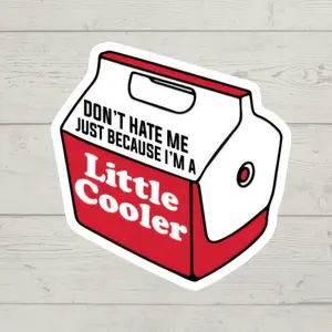 Don't Hate Me Just Because I'm A Little Cooler sticker waterproof glossy vinyl sticker cute gift tumbler laptop sticker decal water bottle