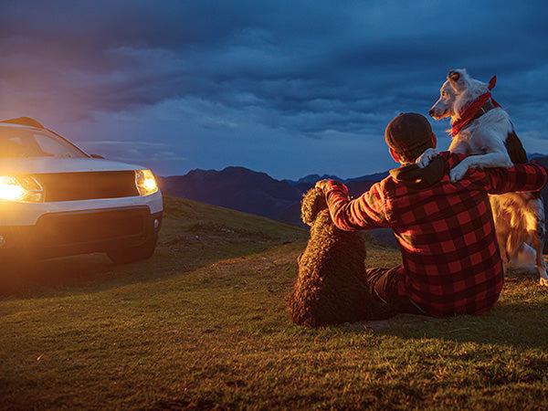 Lasfit fit for 2011-2014 Ford F-150 Floor Mats, Fit SuperCrew Cab & Carpet Floor Only