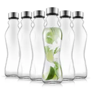 Spring Glass Insulated Water Bottles with Stainless Steel Cap, Set of 6