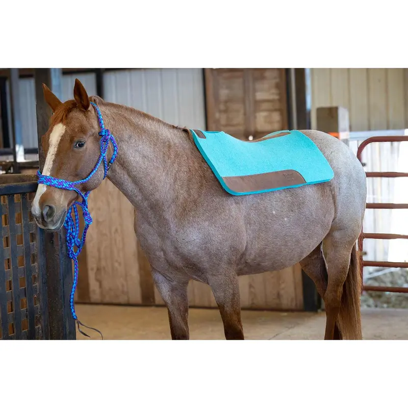 Jeffers WoolLuxe 100% Wool Equine Saddle Pad – Cushioned, Breathable, and Shock-Absorbing