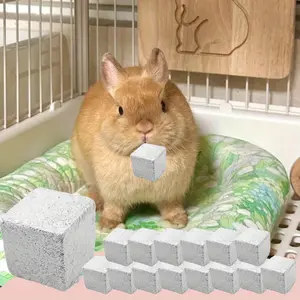 15Pcs Lava Blocks Chinchilla Lava Ledge Small Animal Mineral Calcium Stone Bunny Teeth Grinding Chew Toy for Hamster Chinchilla Rabbit (1.57x1.57inch) - Home Improvement.