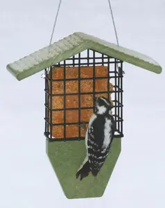 Sea Salt Tail Prop Suet Feeder