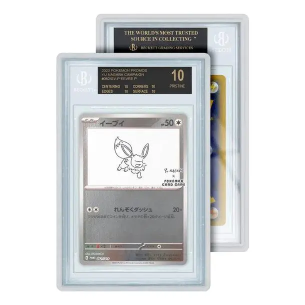 Graded Guards Standard Case (Beckett BGS) (Supplies) - TikTok Shop