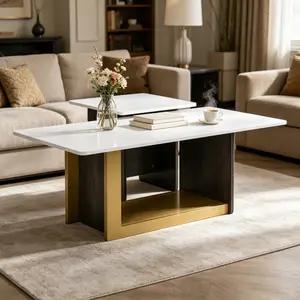Set of 2 Light Luxury Square Coffee End Tables, Large Smooth Tabletop, Stylish Accent Furniture for Living Room, Lounge and Indoor Spaces
