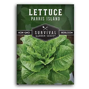 Parris Island Cos Lettuce Seed - High-Quality Vegetable Seeds