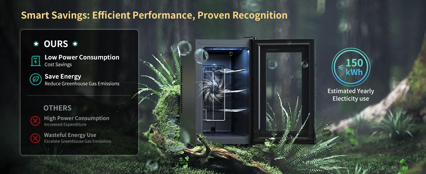 Wine Cooler Fridge, 8 Bottle Wine Chiller with Wine Rack/Lighting, Fast Cooling Thermoelectric Queit Wine Cabinet Cellar for Red White, Energy Efficient Gifts for Women Men