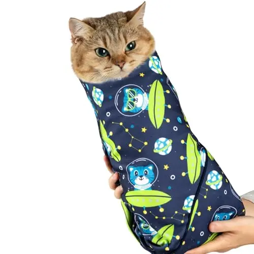 Alien Cat
