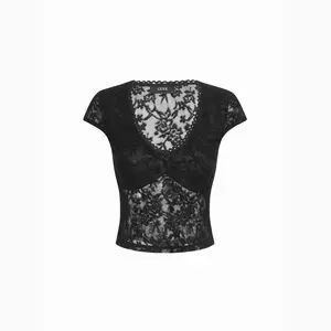 Cider Lace V-neck Crop Tee