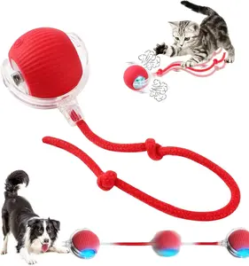 Interactive Cat Dog Ball Toy – 360° Smart Rolling Pet Ball with Tail, USB Rechargeable Self-Moving Dog Ball, Automatic Electric Toy for Indoor Cats & Dogs, Active Play & Chase