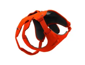 Ruffwear Web Master Harness