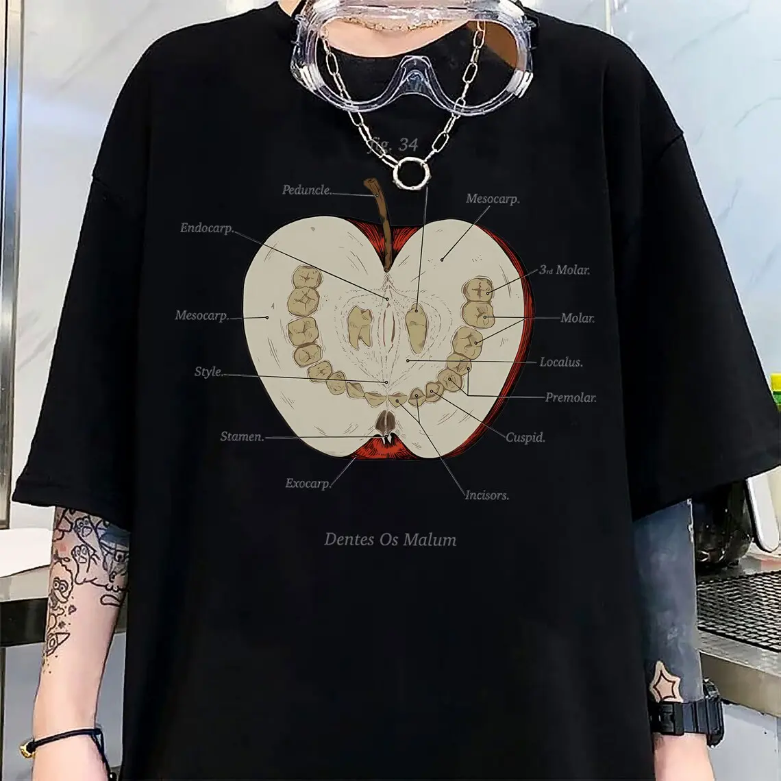 The Magnus Archives Shirt, Anatomy Class Shirt, Teeth Apple,jonathan Simms Shirt, Statement Begins Shirt, Ex Altiora Shirt, Unisex Clothing