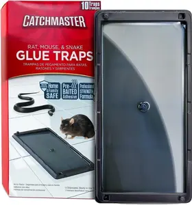 Catchmaster Rat Mouse & Snake Glue Traps 10Pk Large Bulk Adhesive Plastic Tray for Inside House Pest Control for Home & Garage Ready to Use Odorless Year Round Protection