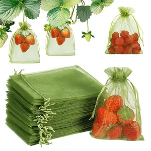 100Pcs Fruit Protection Bags, Green Strawberry Netting Cover Drawstring Mesh Bags Pest Barrier for Blueberry Small Fruit Garden Supplies